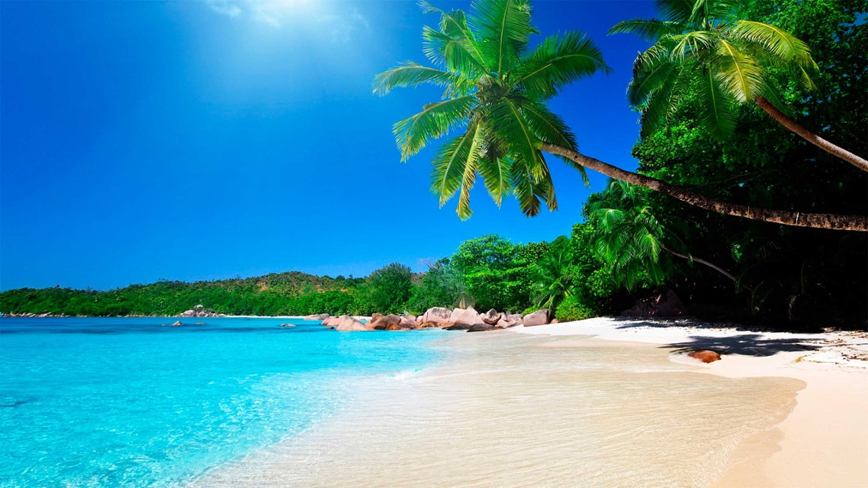 Playa tropical en julio. Foto tomada de Internet